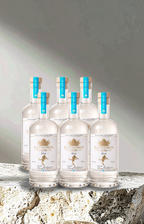 Six bottles of elcenturion102 on a textured surface with a neutral background